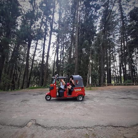 Pine Trees Homestay Nallathanniya Luaran gambar