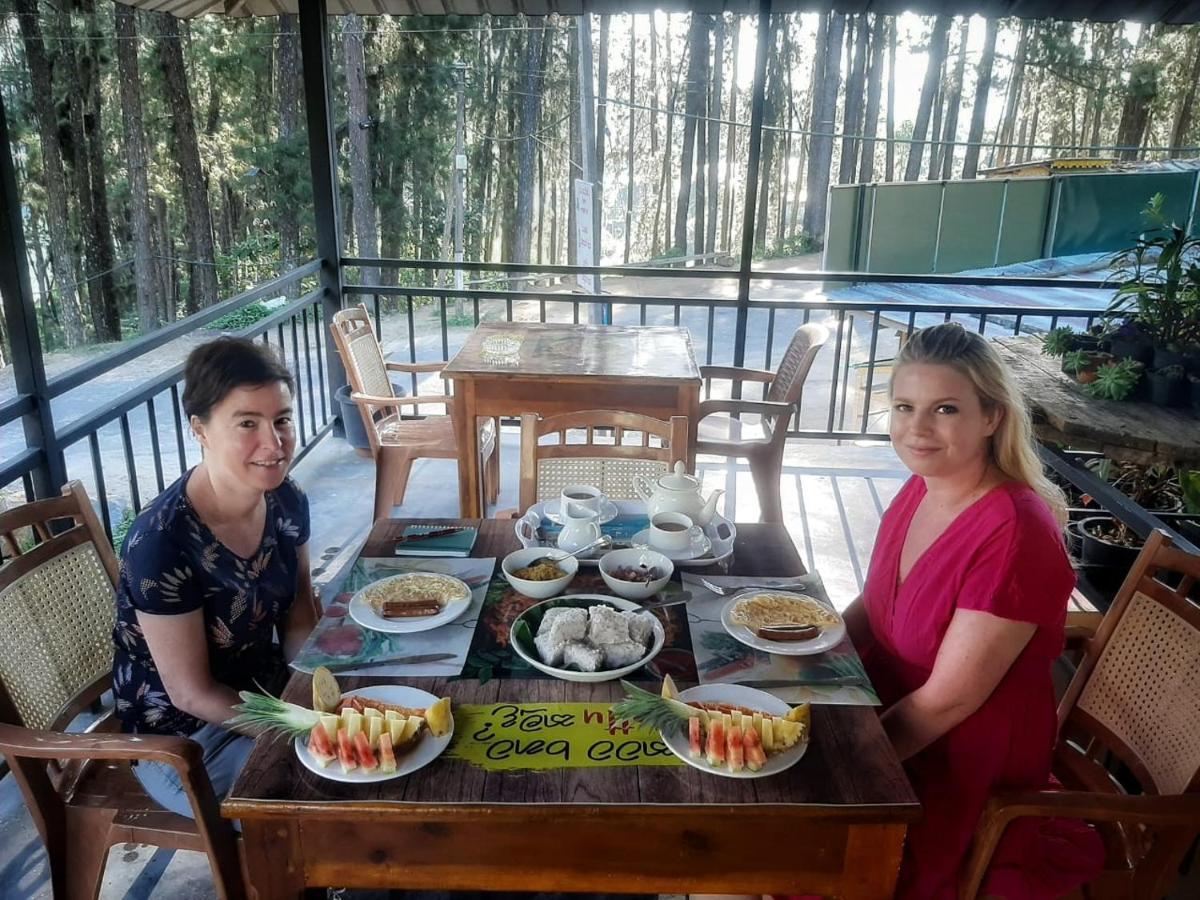 Pine Trees Homestay Nallathanniya Luaran gambar