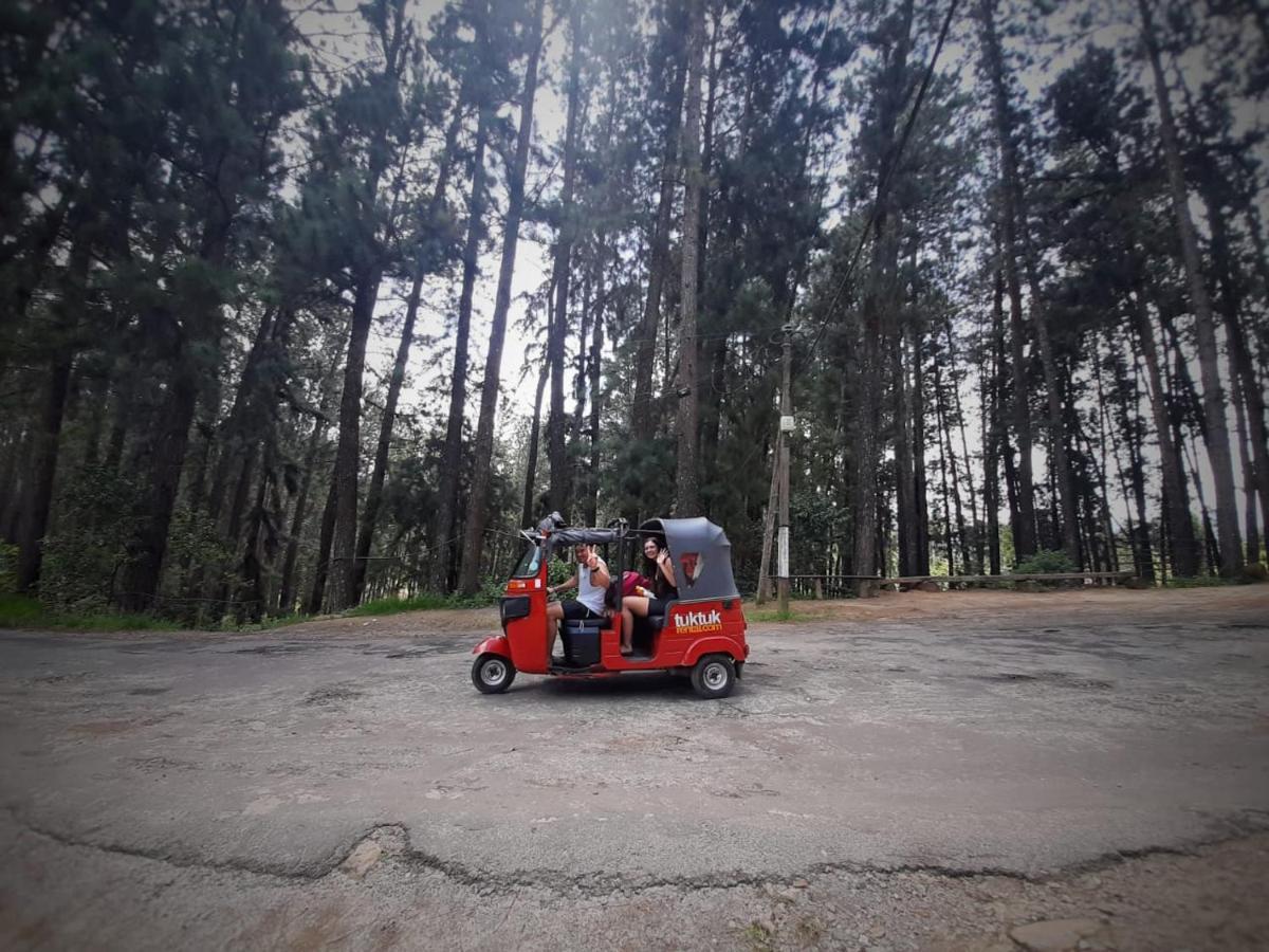 Pine Trees Homestay Nallathanniya Luaran gambar