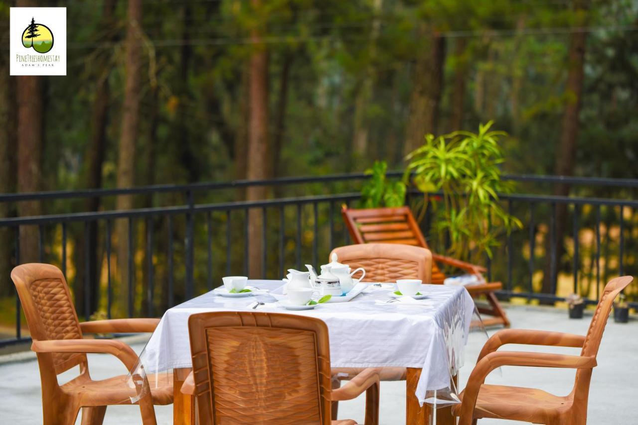 Pine Trees Homestay Nallathanniya Luaran gambar