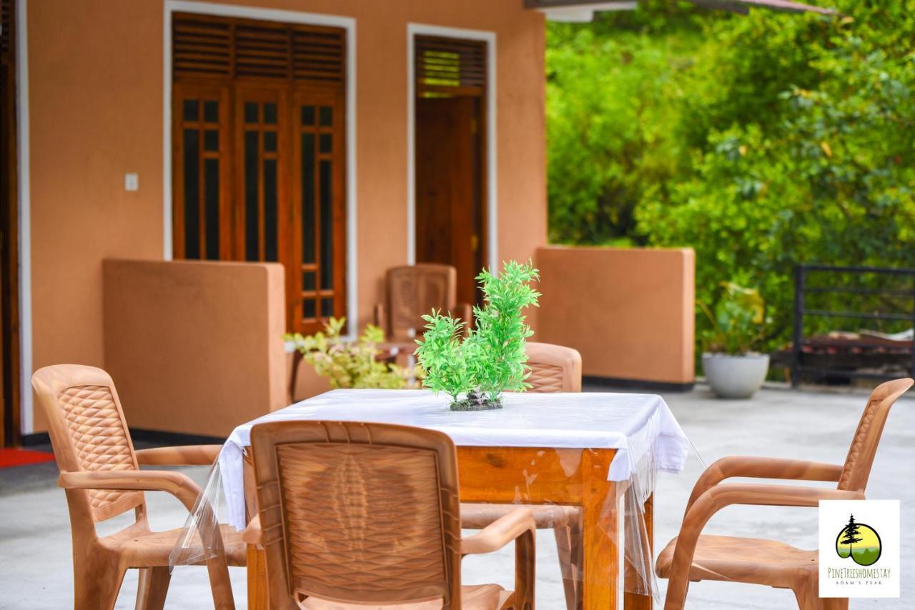 Pine Trees Homestay Nallathanniya Luaran gambar
