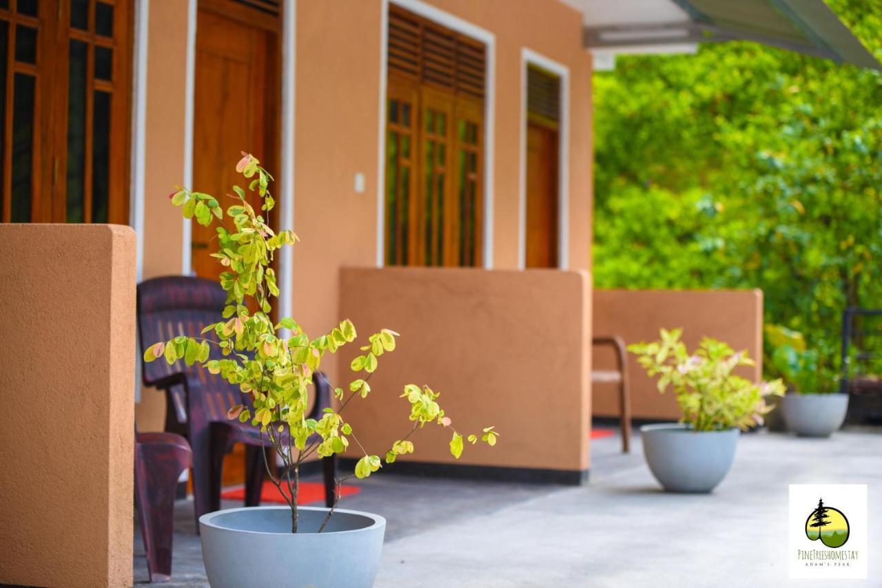 Pine Trees Homestay Nallathanniya Luaran gambar