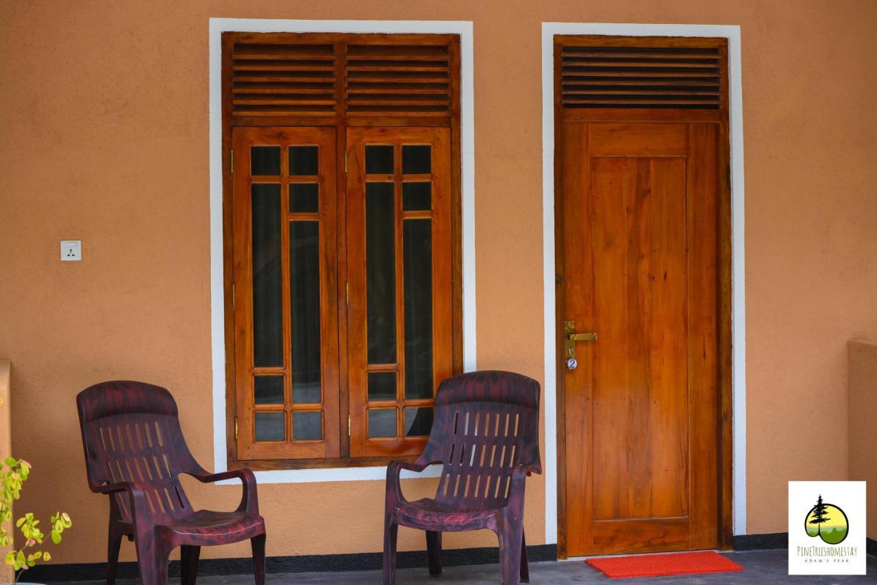 Pine Trees Homestay Nallathanniya Luaran gambar