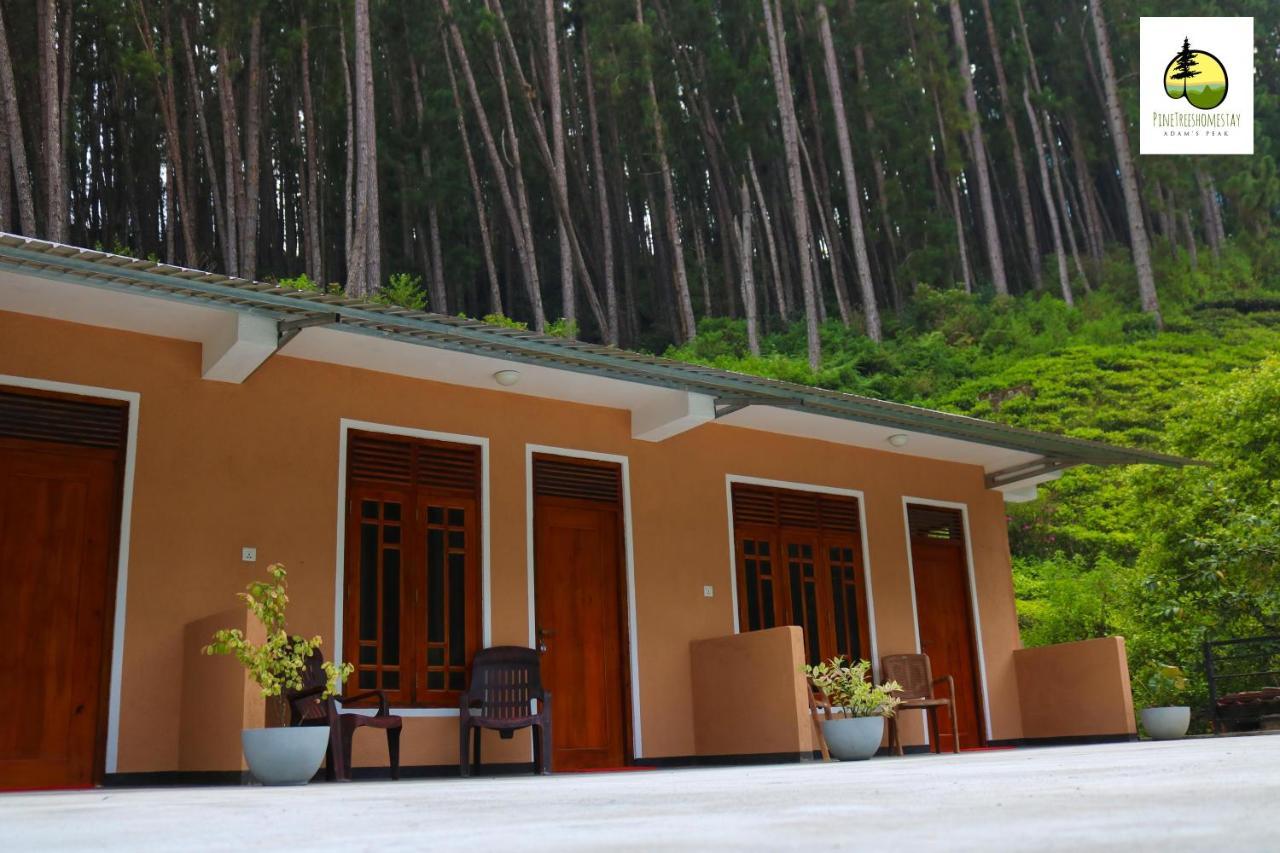 Pine Trees Homestay Nallathanniya Luaran gambar