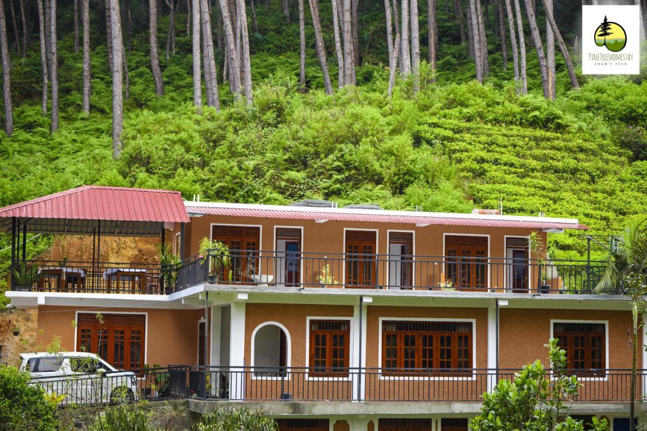 Pine Trees Homestay Nallathanniya Luaran gambar