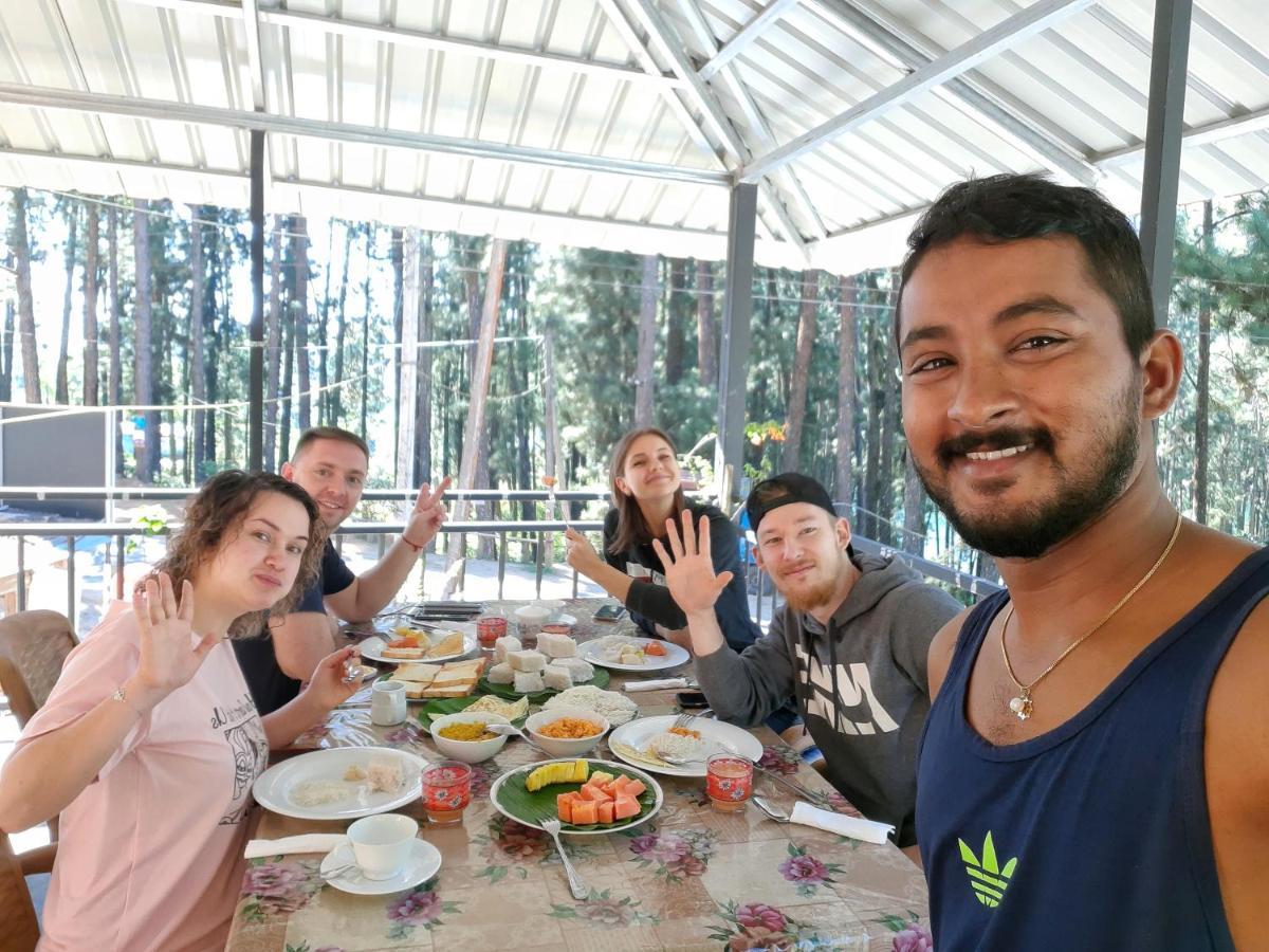 Pine Trees Homestay Nallathanniya Luaran gambar